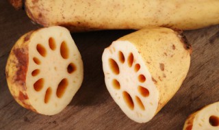 盆栽莲藕施什么肥料好 莲藕种植如何施肥使用什么肥