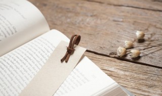 带青城 古风名 带有青的唯美古风名字