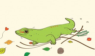 泰加巨蜥属于保护动物吗 泰加巨蜥是保护动物吗