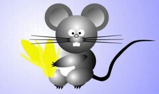 芒鼠是国家保护动物吗 芒鼠是保护动物吗