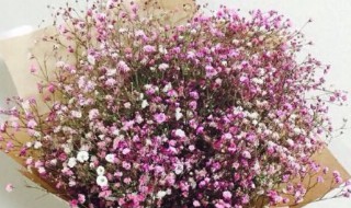 送老婆满天星可以吗 送老婆满天星代表什么