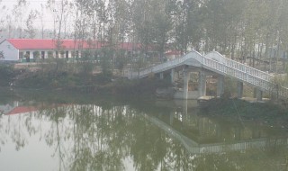 邓州市龙堰乡周河村 邓州龙堰小河村历史简介