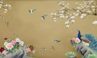 百鸟朝凤的含义是什么 百鸟朝凤代表着什么意思