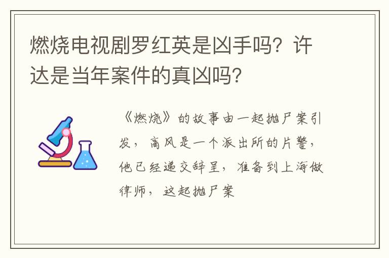 许达是当年案件的真凶吗 燃烧电视剧罗红英是凶手吗