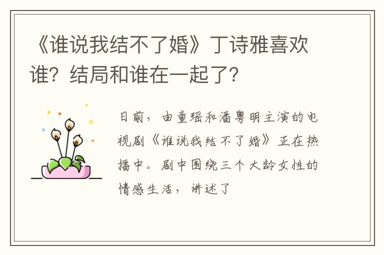 结局和谁在一起了 《谁说我结不了婚》丁诗雅喜欢谁