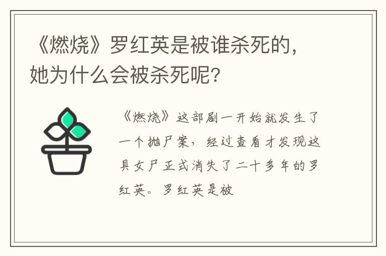 她为什么会被杀死呢 《燃烧》罗红英是被谁杀死的