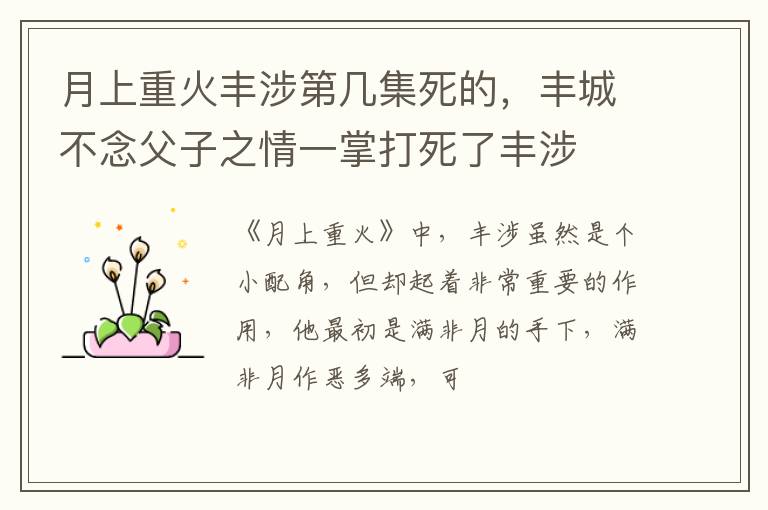丰城不念父子之情一掌打死了丰涉 月上重火丰涉第几集死的