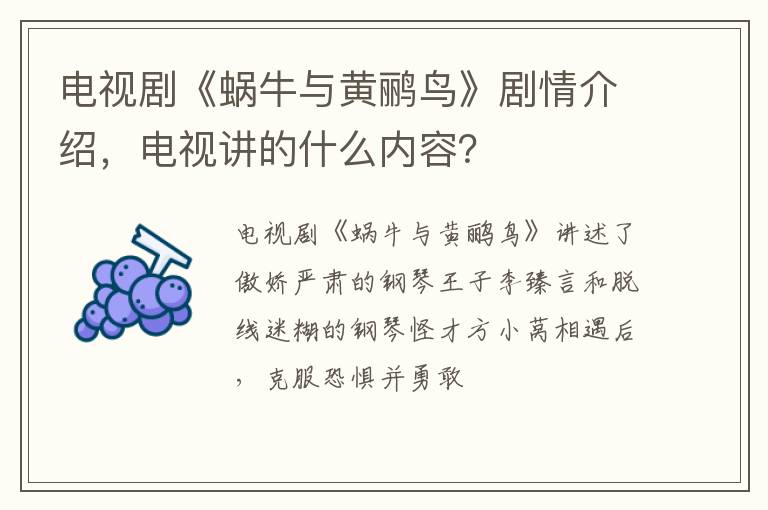 电视讲的什么内容 电视剧《蜗牛与黄鹂鸟》剧情介绍