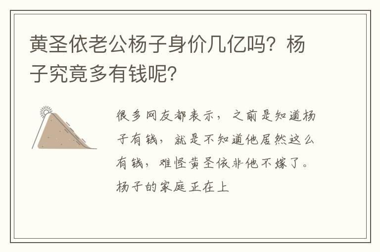 杨子究竟多有钱呢 黄圣依老公杨子身价几亿吗