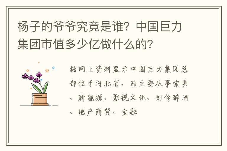 中国巨力集团市值多少亿做什么的 杨子的爷爷究竟是谁