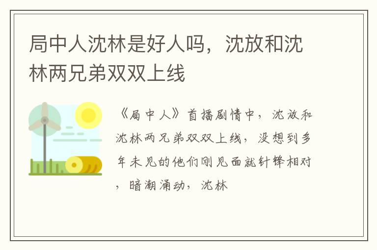 沈放和沈林两兄弟双双上线 局中人沈林是好人吗