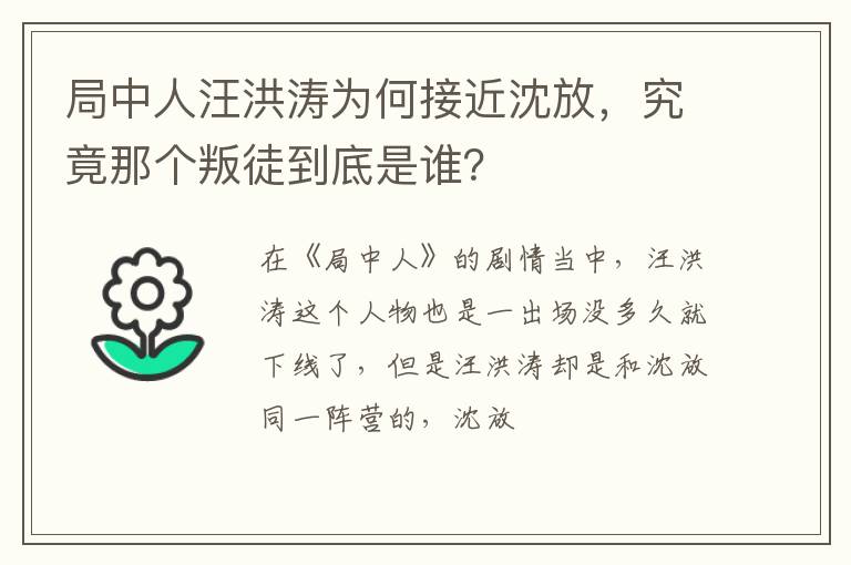 究竟那个叛徒到底是谁 局中人汪洪涛为何接近沈放