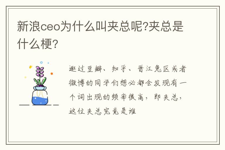 夹总是什么梗 新浪ceo为什么叫夹总呢