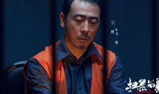 扫黑风暴剧情介绍 扫黑风暴播出时间电视台