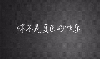 你不是真正的快乐歌曲介绍 你不是真的快乐歌词