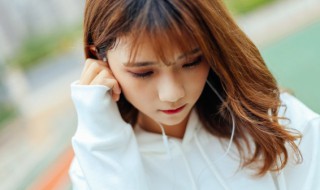 问世间是否此山最高歌词原文 问世间是否此山最高是什么歌