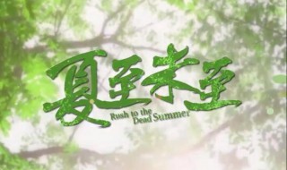 夏至未至小说的介绍 夏至未至小说简介
