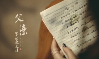 父亲的散文诗歌曲 父亲的散文诗歌词