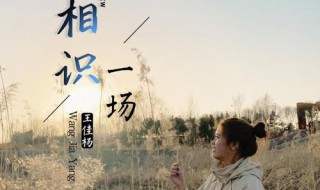相识是一首歌 相识一场歌词