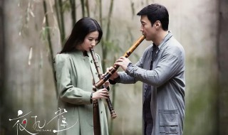 夜孔雀的电影剧情介绍 夜孔雀电影剧情介绍