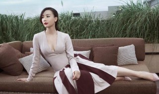 陈数是谁 陈数简介
