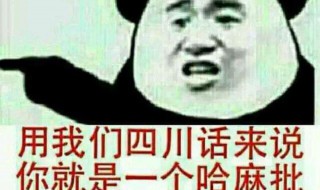 哈麻批解释 哈麻批是什么意思