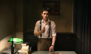 叛逆者的主演都有谁 叛逆者剧情介绍结局