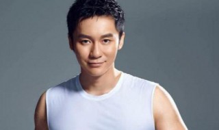 明星李晨的介绍 李晨资料简介