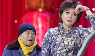 蔡明的资料介绍 蔡明个人资料简介