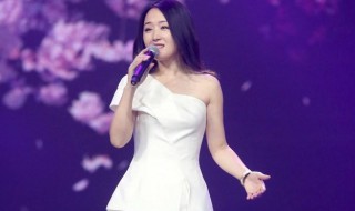 不要问我太阳有多高完整歌词介绍 不要问我太阳有多高是什么歌