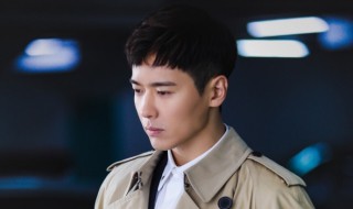 高云翔的资料 高云翔个人简介