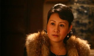 中国家庭电视剧简介 中国家庭剧情简介