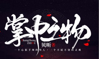 掌中之物小说介绍 掌中之物小说简介