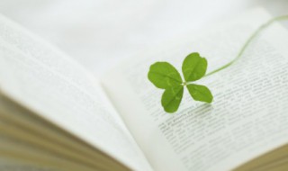 默读小说简述说明 默读小说内容简介