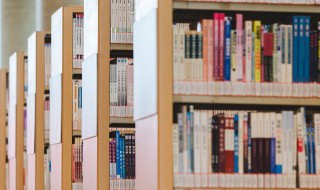 上瘾小说介绍 上瘾小说简介