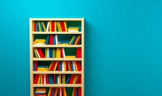 飘介绍 飘小说简介