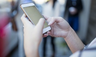 阴长生小说内容简介 阴长生小说简介