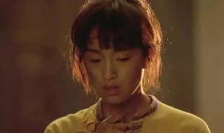 菊豆电影介绍 菊豆电影简介