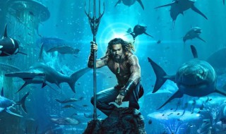海王电影介绍 海王电影简介