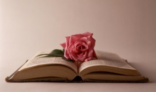 苏尔流年的作品有哪些 苏尔流年作品集简介