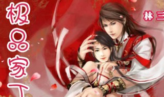 极品家丁小说介绍 极品家丁小说简介