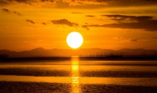 关于几度夕阳红小说简介 几度夕阳红小说简介