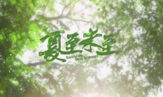 夏至未至片头曲歌词展示 夏至未至片头曲谁唱的