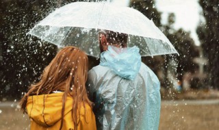 雨歌曲简介 雨歌词