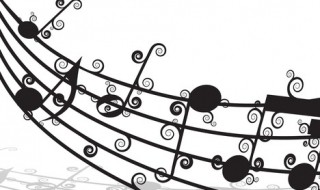 白桦林好地方歌词是什么 白桦林好地方歌词