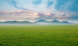 今夜草原有雨歌曲简介 今夜草原有雨歌词