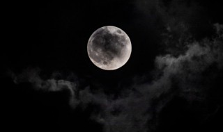 月亮走我也走歌曲简介 月亮走我也走歌词