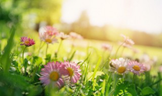 晴天歌词完整版及歌曲简介 晴天歌词