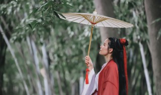 重阳歌曲简介 九月九古风重阳节歌曲重阳歌词