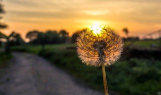 唯美动听的歌词精选 唯美动听的歌词